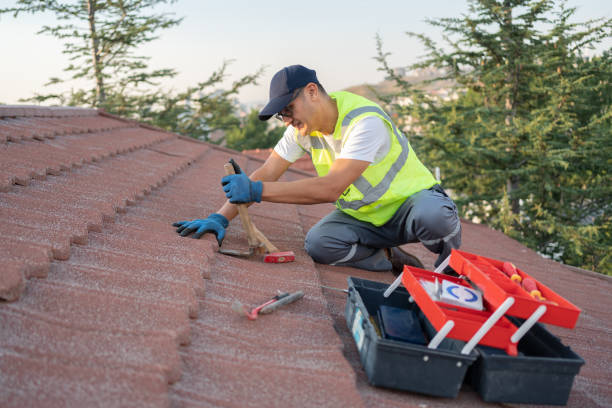 Roof Gutter Cleaning in Fishersville, VA